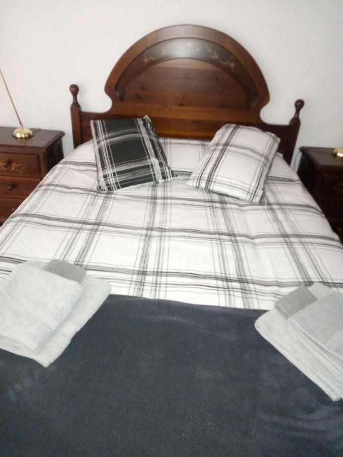 Apartamento Ayuntamiento 洛格罗尼奥 外观 照片